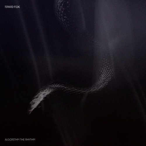 Algorithm The Rhythm