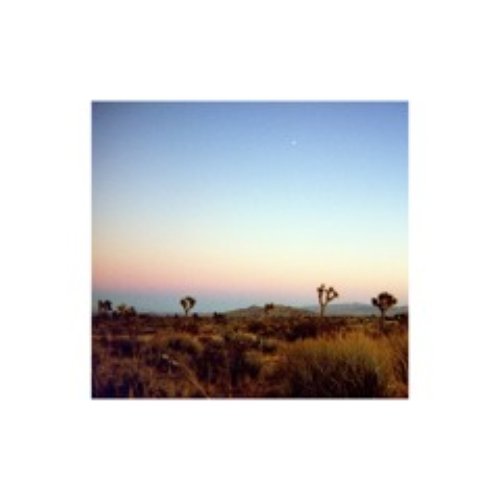 Summer Nights - Single