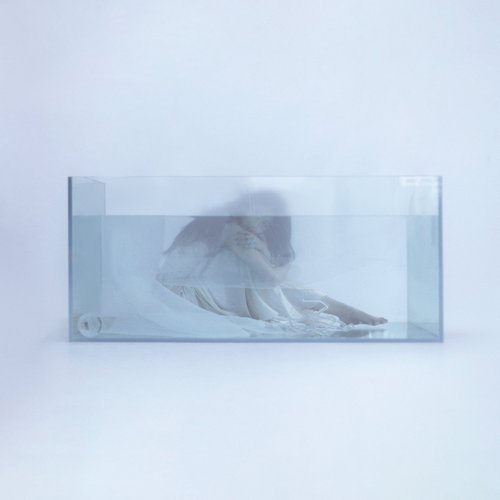 JELLYFISH
