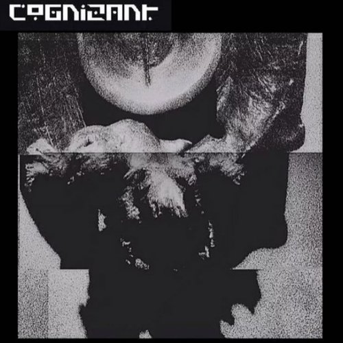 S / T