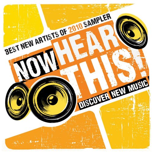 Now Hear This: Best New Artists of 2010