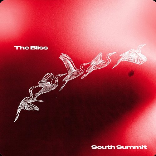 The Bliss [Explicit]