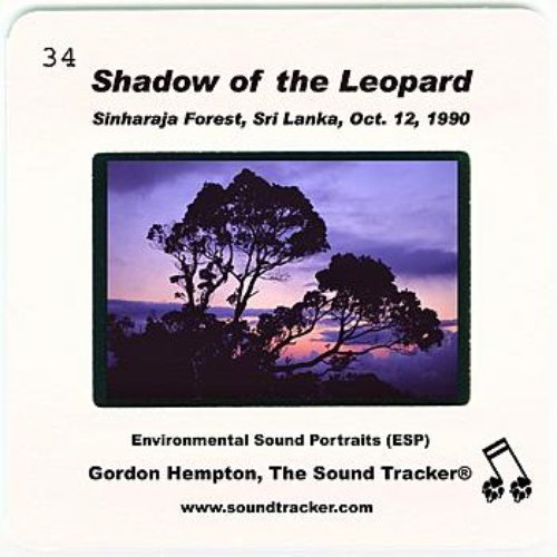 Shadow of the Leopard