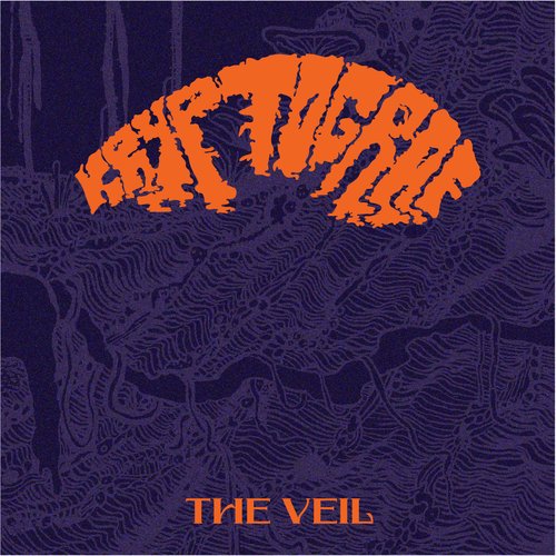 The Veil - Single