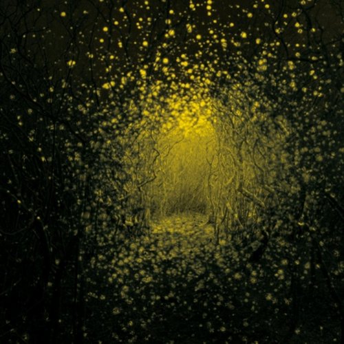 Burst Apart (Amazon MP3 Exclusive Version) [Explicit]