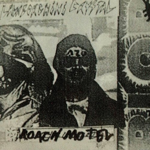 Roach Motel