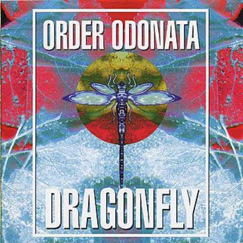 Order Odonata 3 - The Technical Use Of Sound In Magick