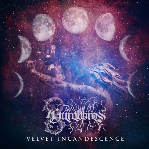 Velvet Incandescence