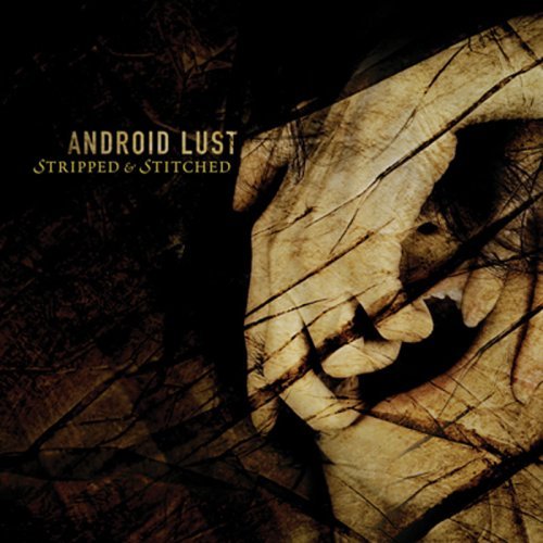 Stripped and Stitched (Remixes)