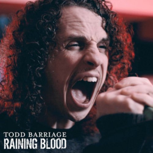 Raining Blood (Emo Version)