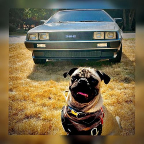 The Runaway - Single