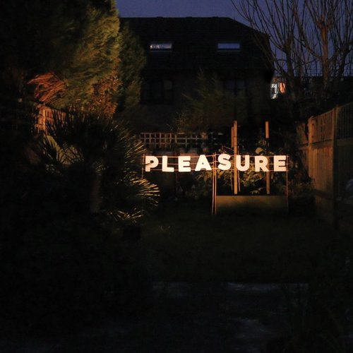 Pleasure
