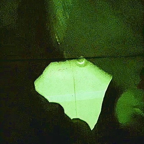 nYnM