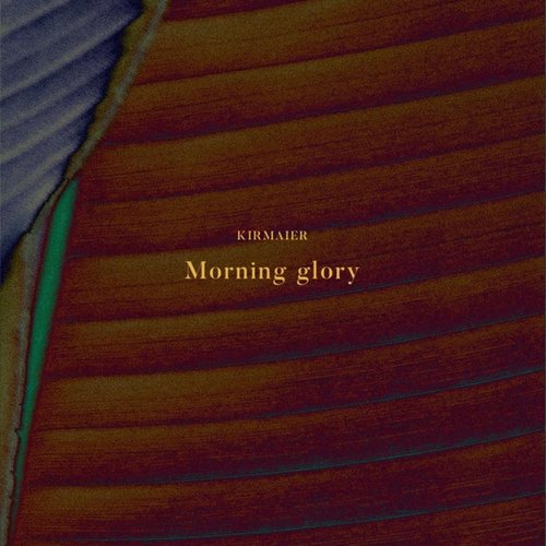 Morning Glory