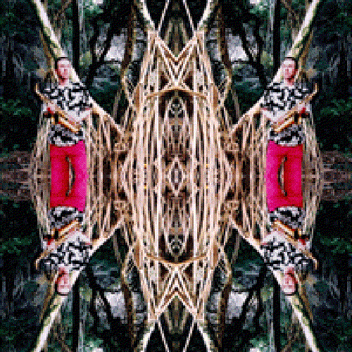 laleh ladan gatefold set
