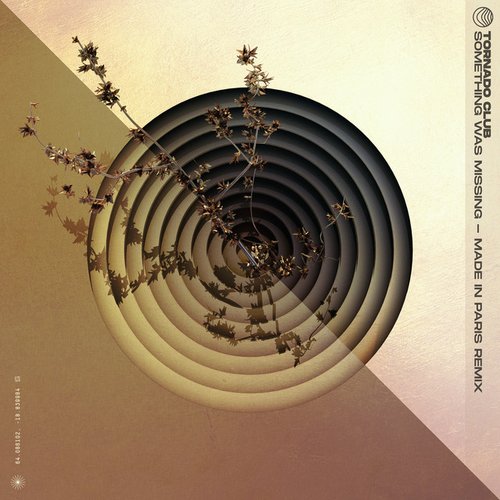 Something Was Missing (PARIS Remix)
