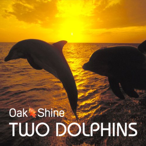 TWO DOLPHINS