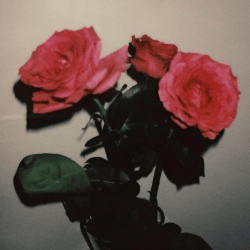rosen - Single