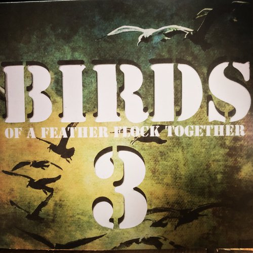 Birds of a Feather Flock Together 3