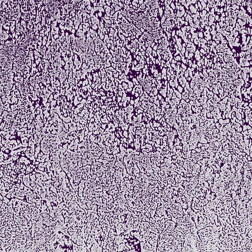 Multifactorial Dynamic Pathways