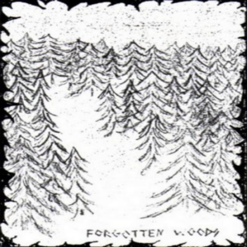 Forgotten Woods
