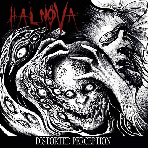 Distorted Perception [Explicit]
