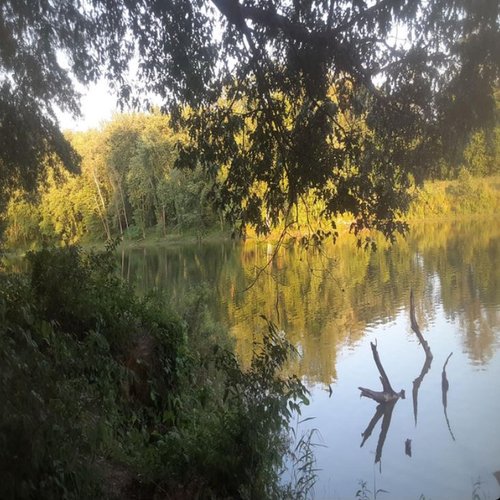 Nature Jams 2