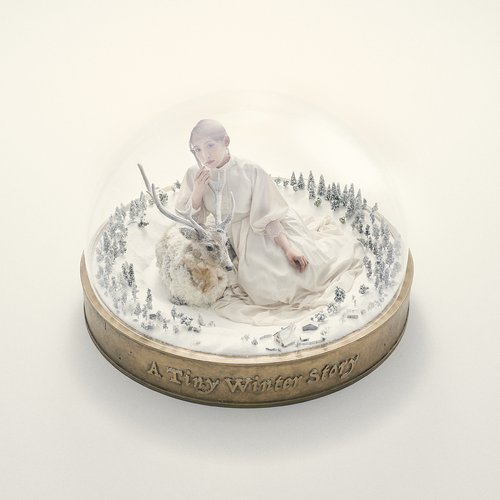 A Tiny Winter Story