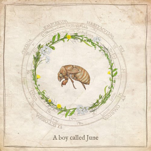 A Boy Called June