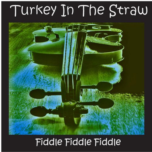 Turkey In the Straw and Other Country Fiddle Hits