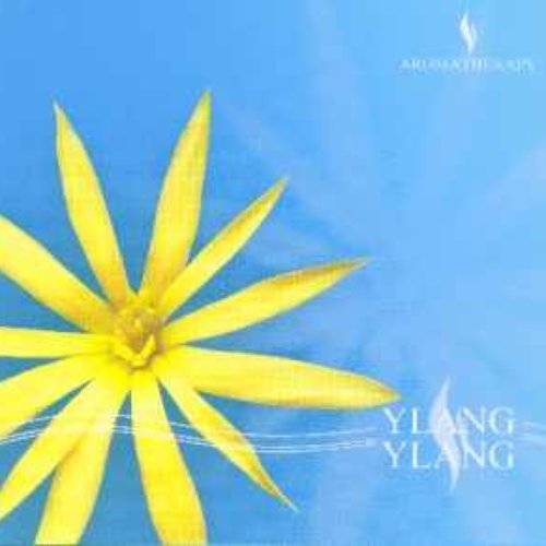 YLANG YLANG