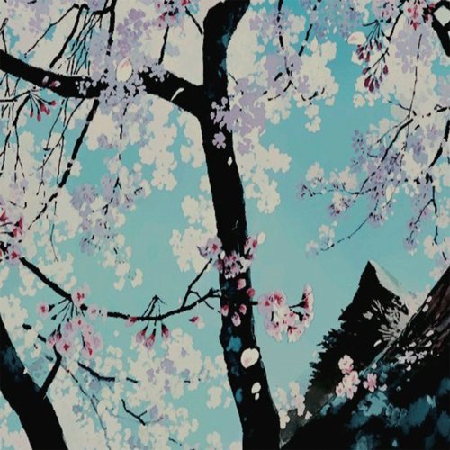 Cherry Blossoms At The Tokyo