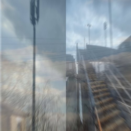fielf