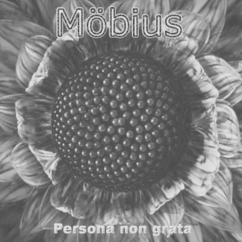 Persona Non Grata
