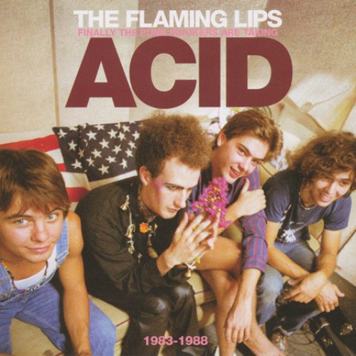 Finally The Punk Rockers Are Taking Acid (1983-1988)