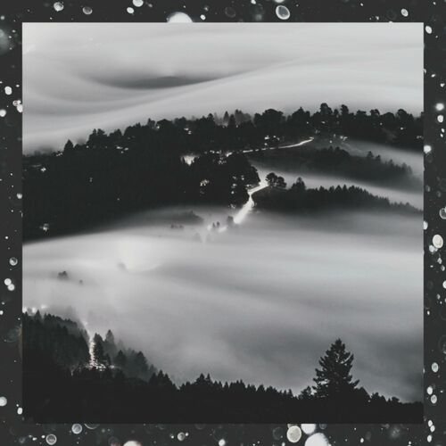 Till The Fog Clears