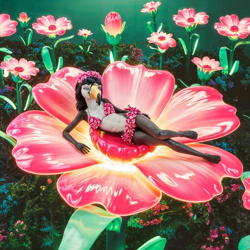 Flordelicia