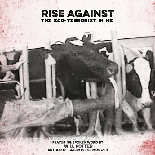 The Eco-Terrorist In Me - Single