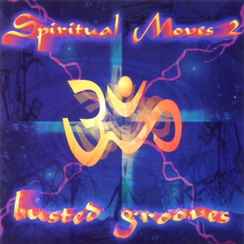 Spiritual Moves vol. 2 - Busted Grooves