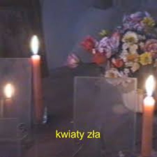 Kwiaty zła - Single