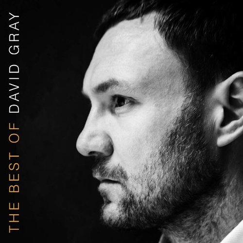 The Best of David Gray (Deluxe Edition)