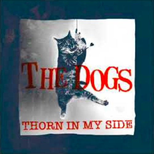 Thorn in My Side