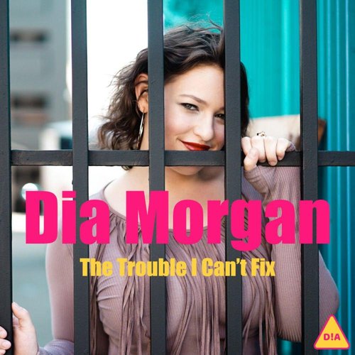 The Trouble I Can't Fix