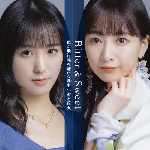 私が飛行機を嫌いな理由／雪と花火