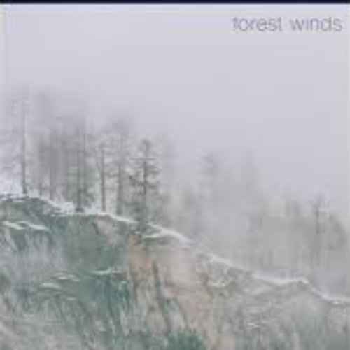Forest Winds