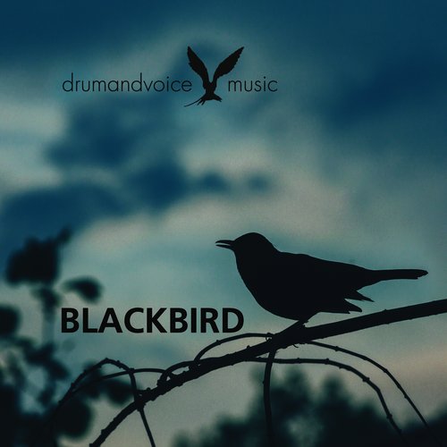 BlackBird - Single