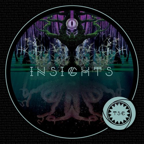 Insights - EP