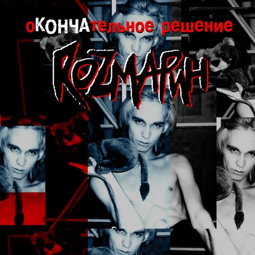 Окончательное решение