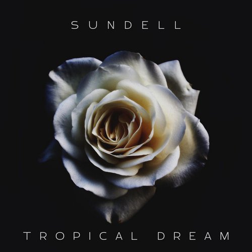Tropical Dream