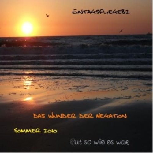 Das Wunder der Negation (Sommer Edition)